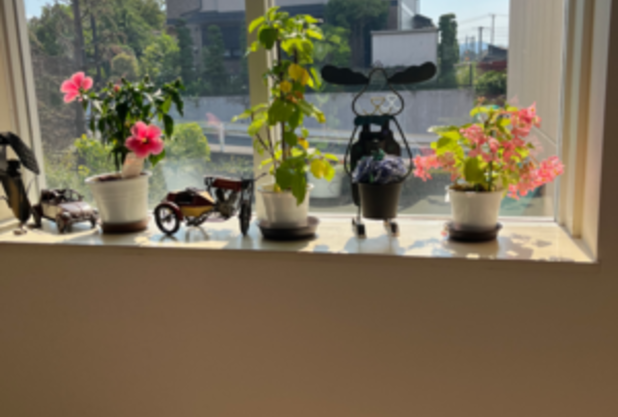 ハチファミ階段　花