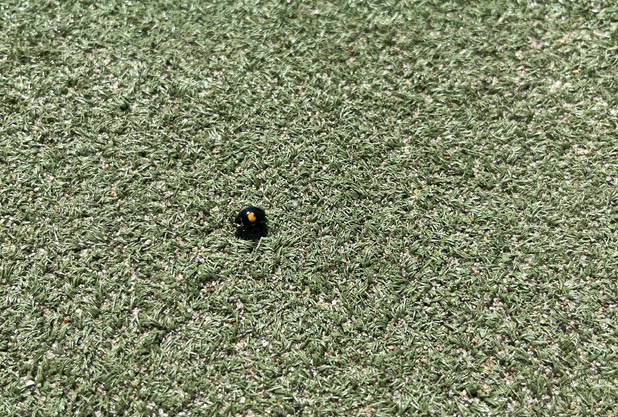 ナショナルバンクオープン　マスターズ1000