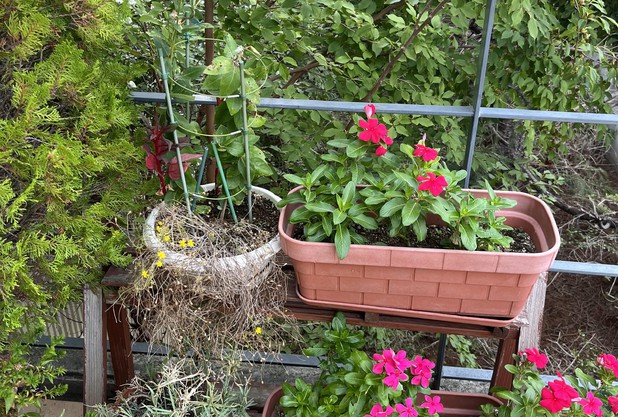 いつもと違う景色