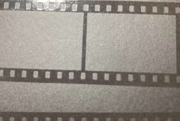 《映画》ジュラシックワールド　復活の大地