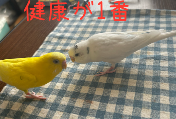 1年前を振り返って