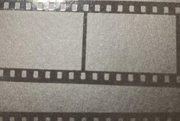 【映画】フライ