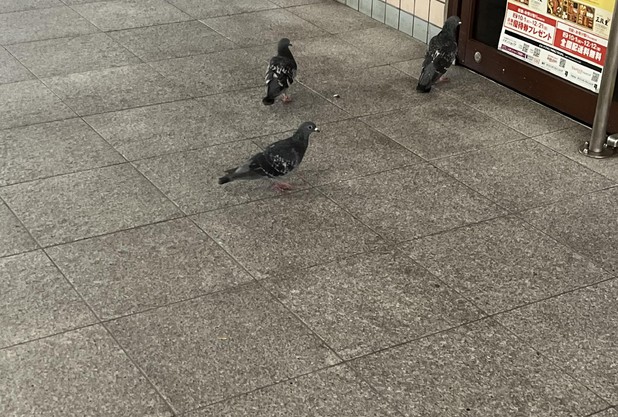 ミーティングか！！