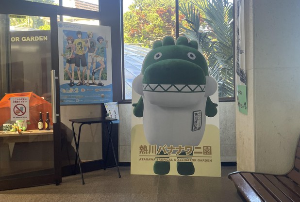 少し遅い夏休み