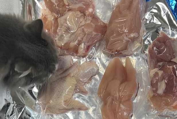 試合結果報告（宇野）