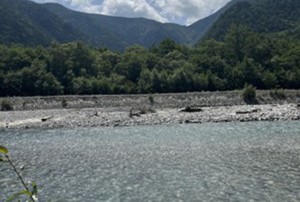 《映画》アース