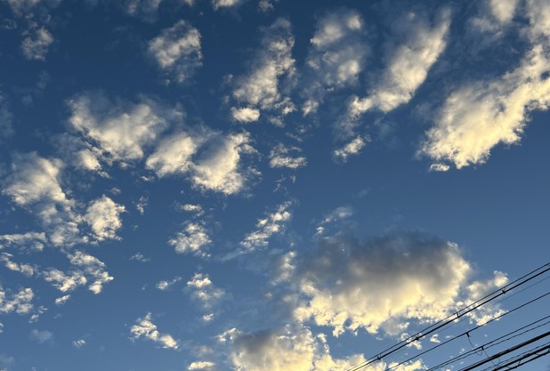 同級生との暮らし