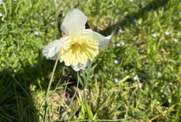 またしても優勝