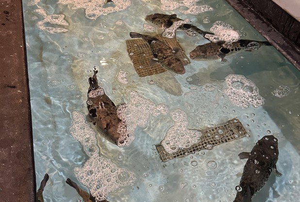 冬の最強タッグ