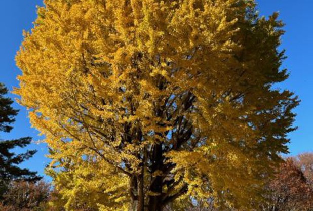 2025秋　市民大会