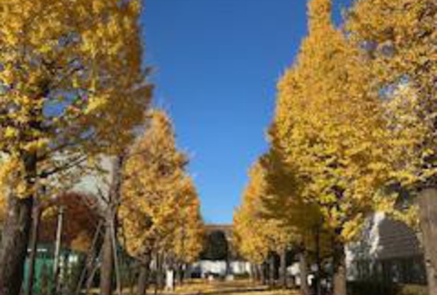 ご無沙汰しております！（山口）