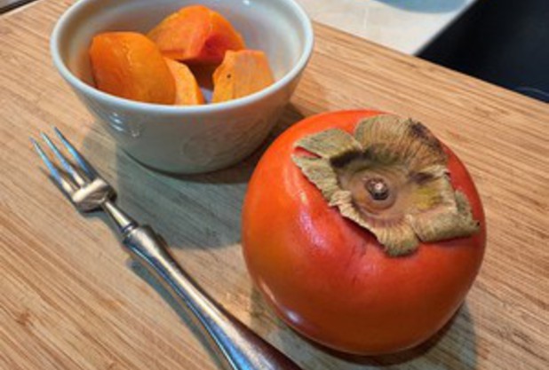 オレンジボールトーナメント