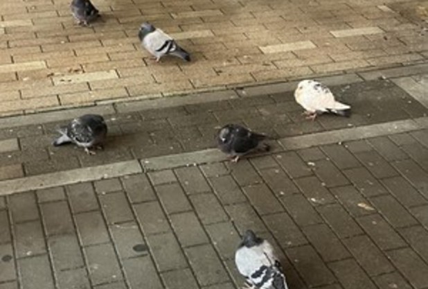 ミーティングか？