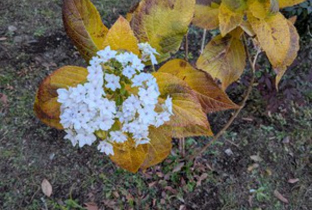 今年もありがとうございました