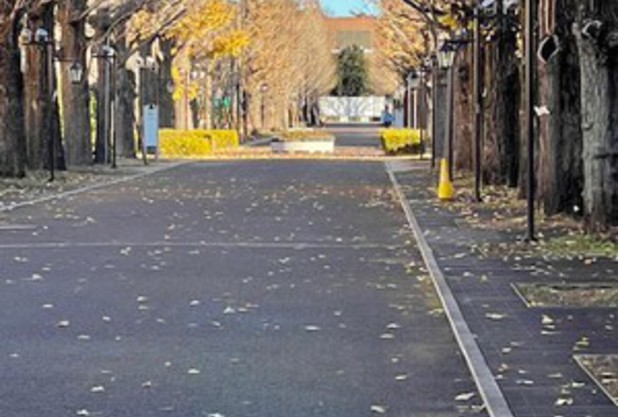 フロント近藤です！