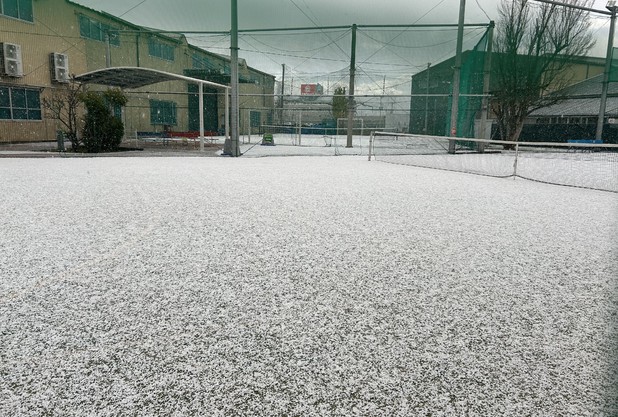 雪と今年の抱負