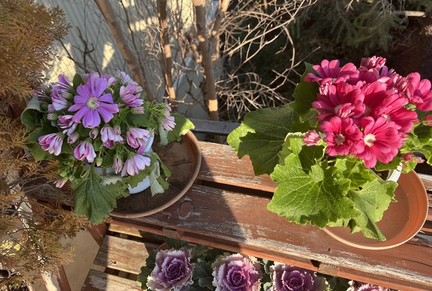 おはようございます。