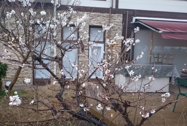 3月のレッスンテーマは！？