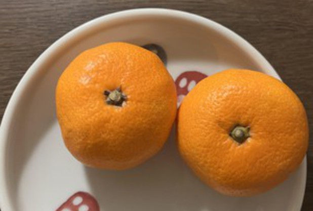 まだまだみかん