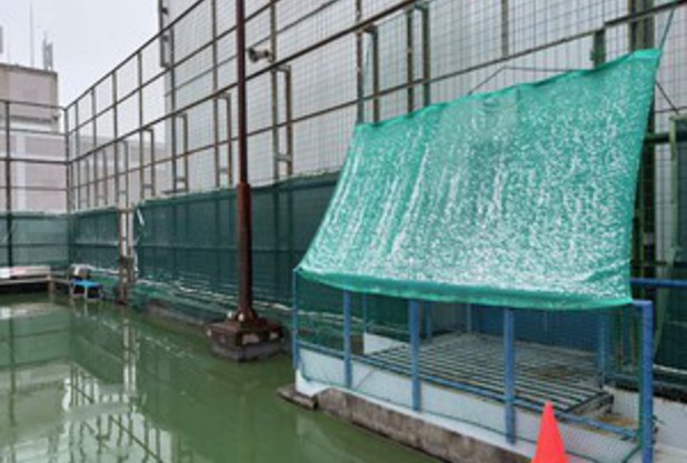 大阪にも雪が積もりましたね！