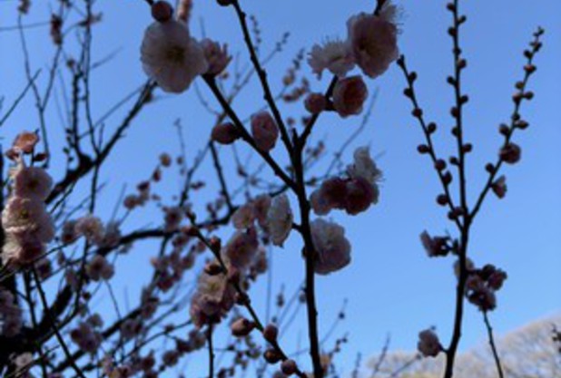 『ぐるっとパス2025』