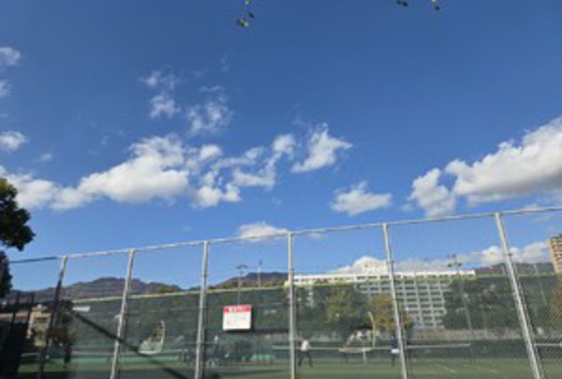 今年初の草トー