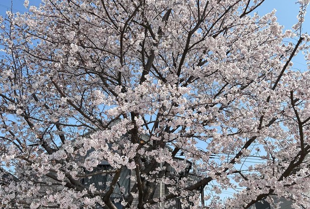 2026春 市民大会