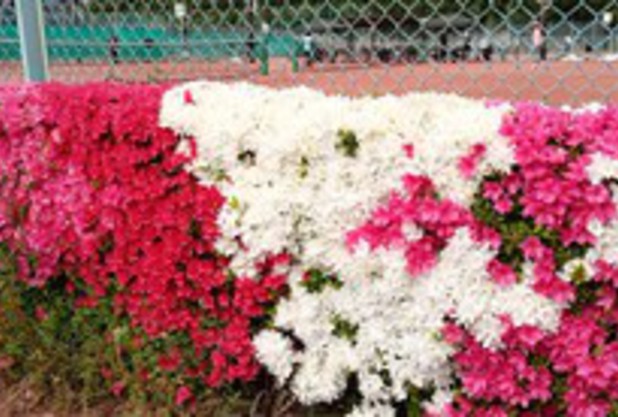 金曜日の活動内容