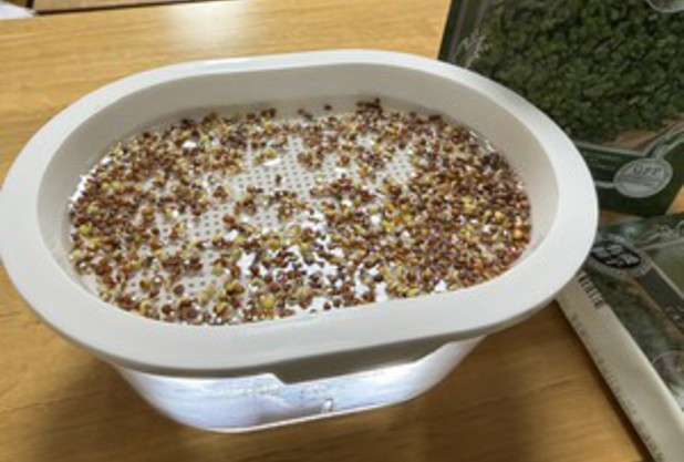 新たな命の誕生