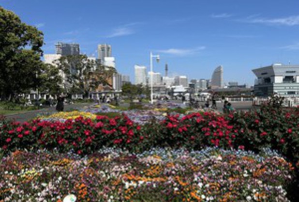 国分寺市民大会 