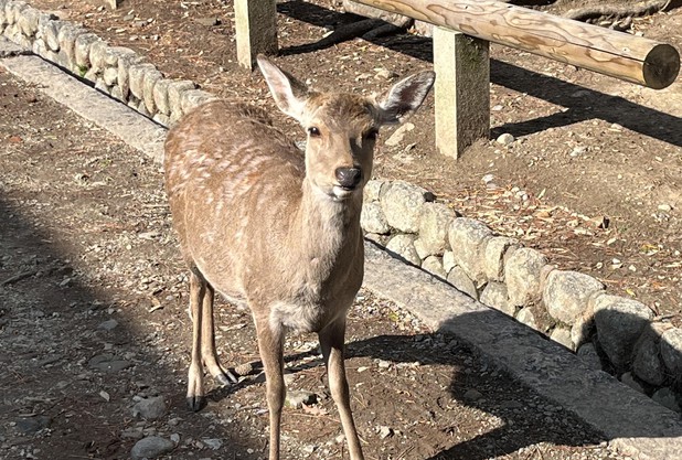 会ってきました。