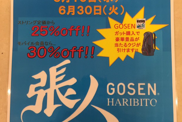 6月  ストリングキャンペーン