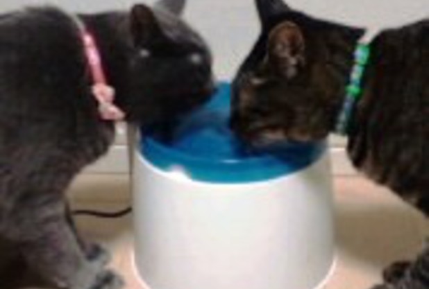 ミーティングの後．．．