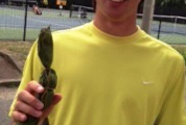 はちふぁみスタッフ試合結果報告