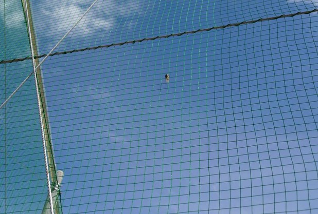 アウトコート～8月14日(金)～