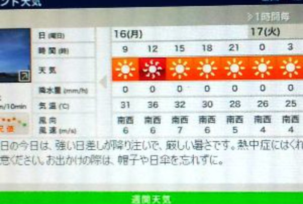 猛暑です！
