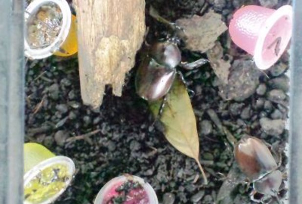 暑いですね～(^_^;)