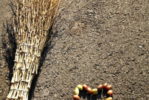久々ブログ更新の兵藤です