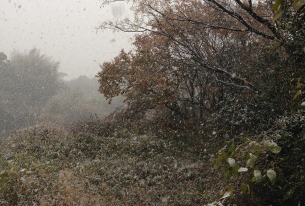 ロマンスの美原