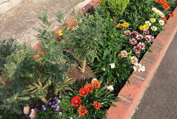 美原の森の花壇も「夏仕様」
