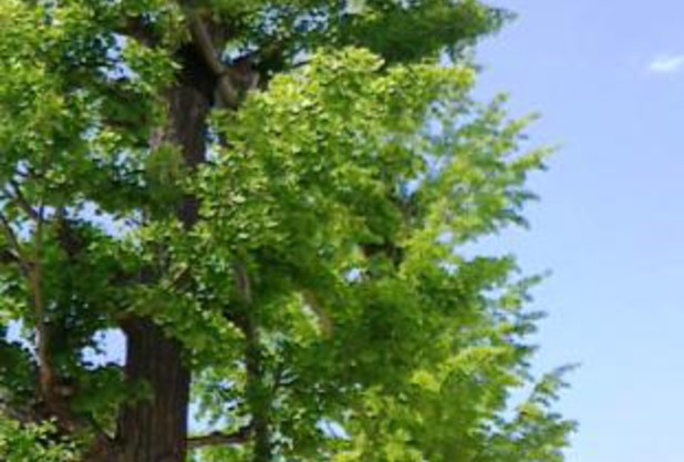 5月　最高のシーズン