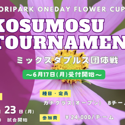 コスモストーナメントミックスダブルス団体戦