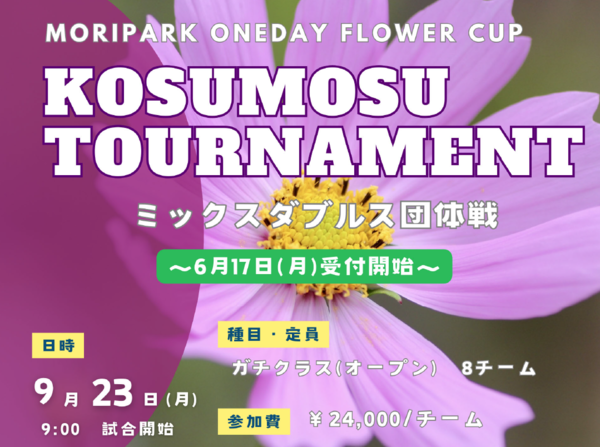 コスモストーナメントミックスダブルス団体戦