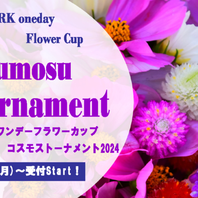 コスモストーナメント