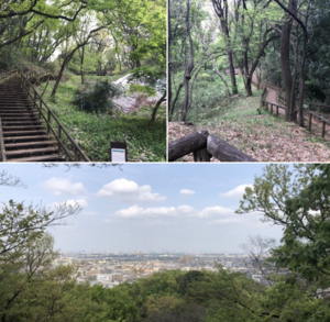 スクリーンショット 2020-05-13 13.29.28.png