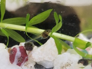 20200605_202622 (1).jpg