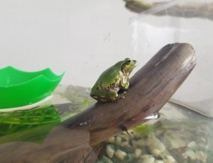 20200606_101624 (1).jpg