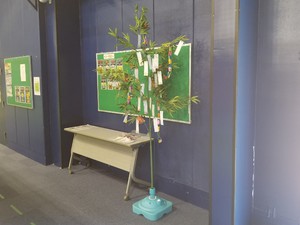 20200617_140219 (1).jpg