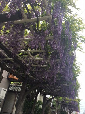 image0 - 2021-04-23T125322.651.jpeg