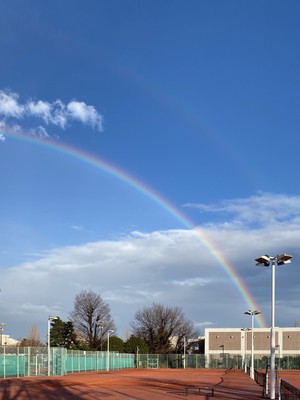 image_6487327 (1).JPG